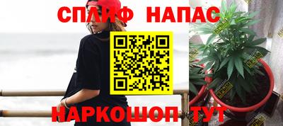 тгк Аргун