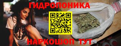 тгк Аргун